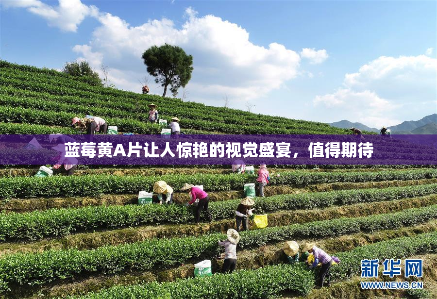 蓝莓黄A片让人惊艳的视觉盛宴，值得期待