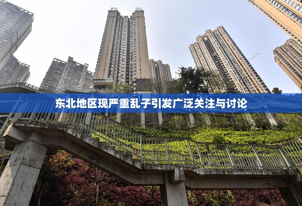 东北地区现严重乱子引发广泛关注与讨论