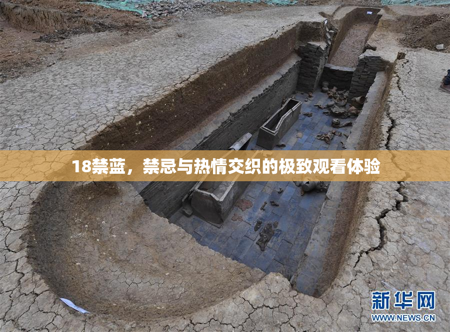 18禁蓝，禁忌与热情交织的极致观看体验