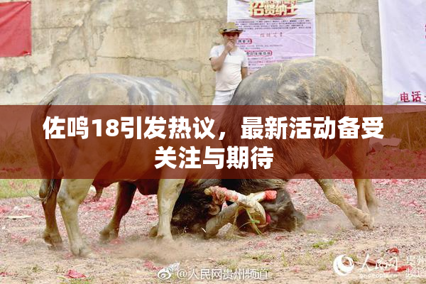 佐鸣18引发热议，最新活动备受关注与期待