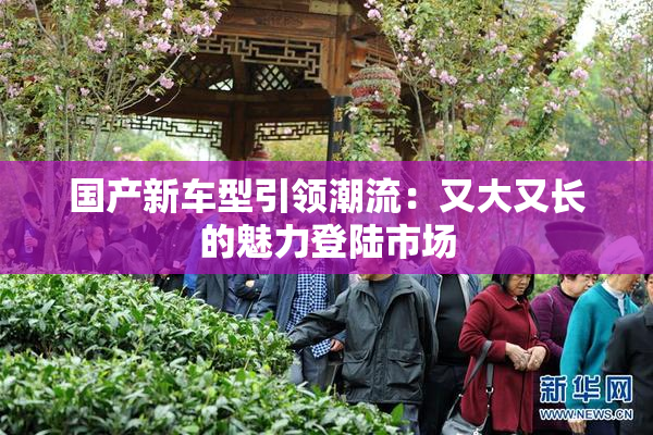 国产新车型引领潮流：又大又长的魅力登陆市场