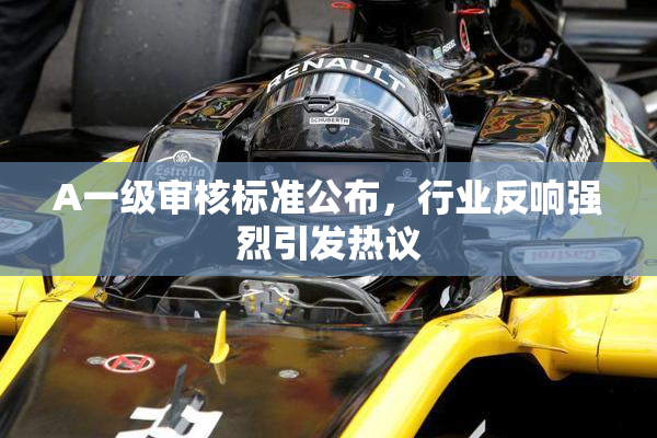 A一级审核标准公布，行业反响强烈引发热议