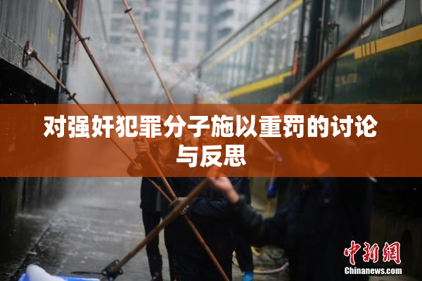 对强奸犯罪分子施以重罚的讨论与反思