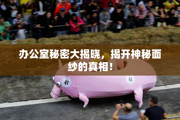 办公室秘密大揭晓，揭开神秘面纱的真相！