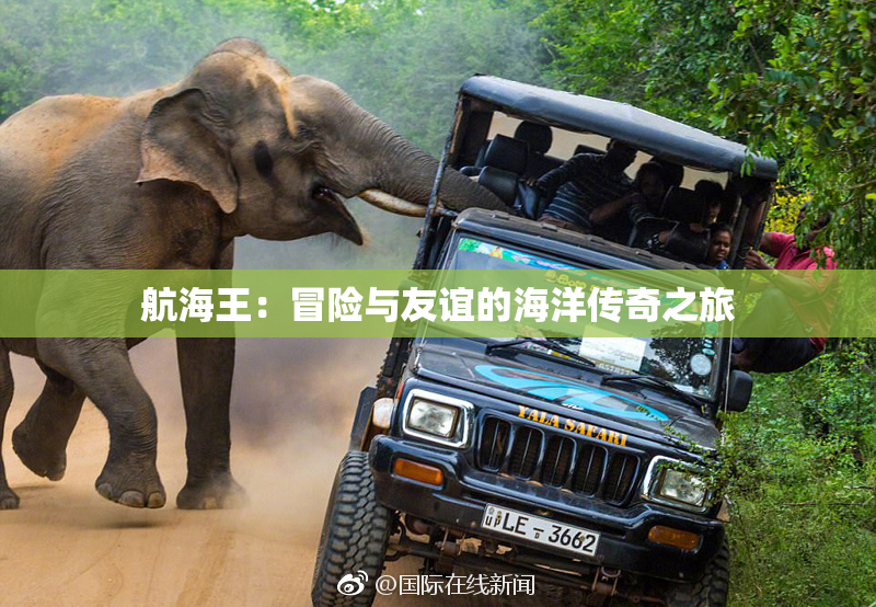 航海王：冒险与友谊的海洋传奇之旅