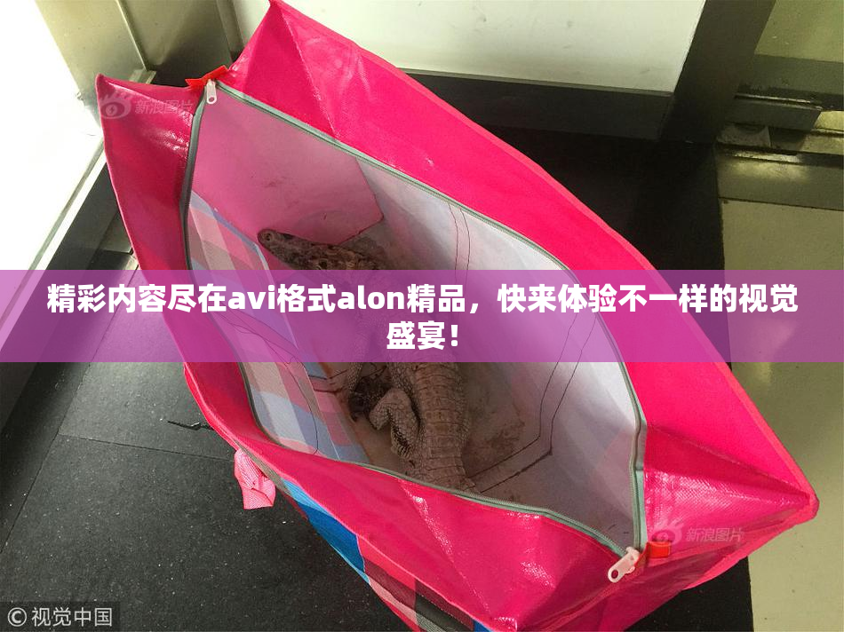 精彩内容尽在avi格式alon精品，快来体验不一样的视觉盛宴！