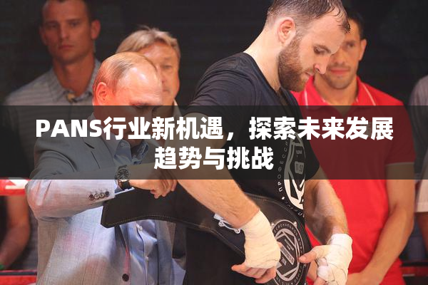 PANS行业新机遇，探索未来发展趋势与挑战