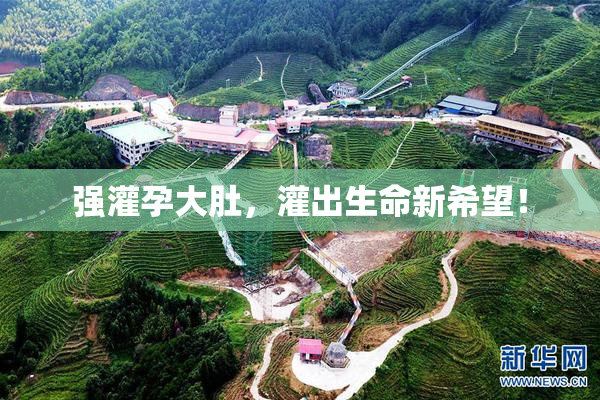 强灌孕大肚，灌出生命新希望！