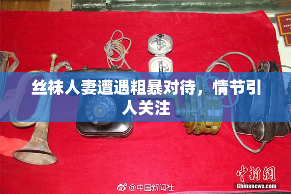 丝袜人妻遭遇粗暴对待，情节引人关注