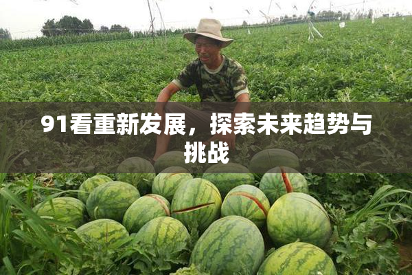 91看重新发展，探索未来趋势与挑战