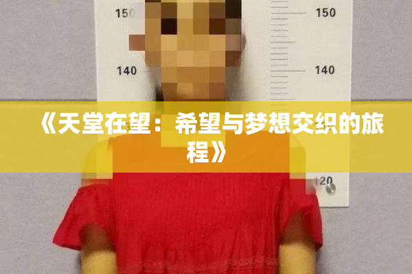 《天堂在望：希望与梦想交织的旅程》