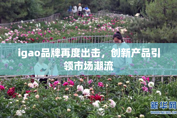 igao品牌再度出击，创新产品引领市场潮流