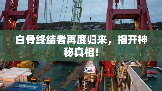 白骨终结者再度归来，揭开神秘真相！