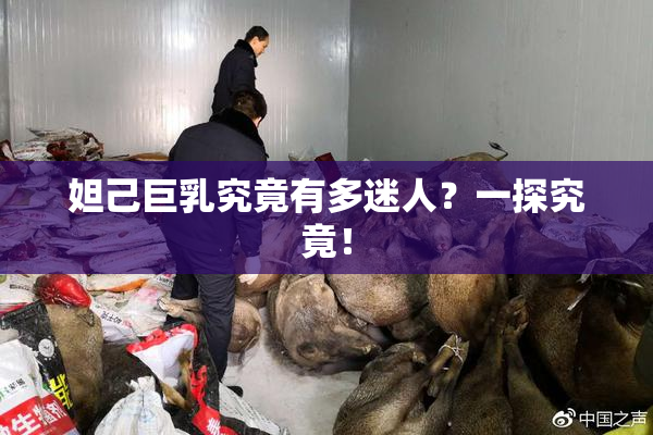 妲己巨乳究竟有多迷人？一探究竟！
