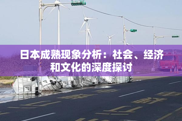 日本成熟现象分析：社会、经济和文化的深度探讨