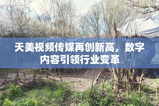 天美视频传媒再创新高，数字内容引领行业变革