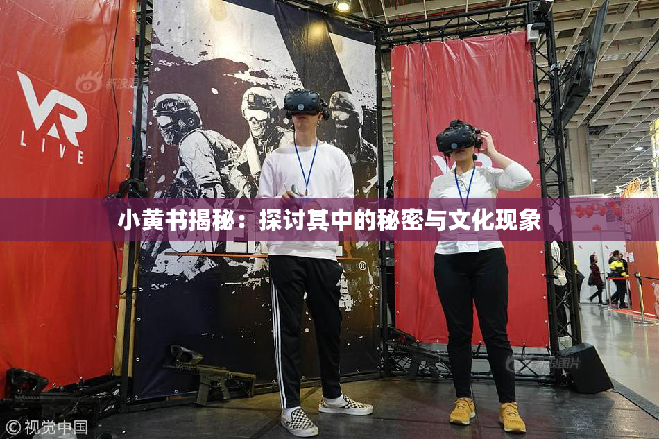 小黄书揭秘：探讨其中的秘密与文化现象