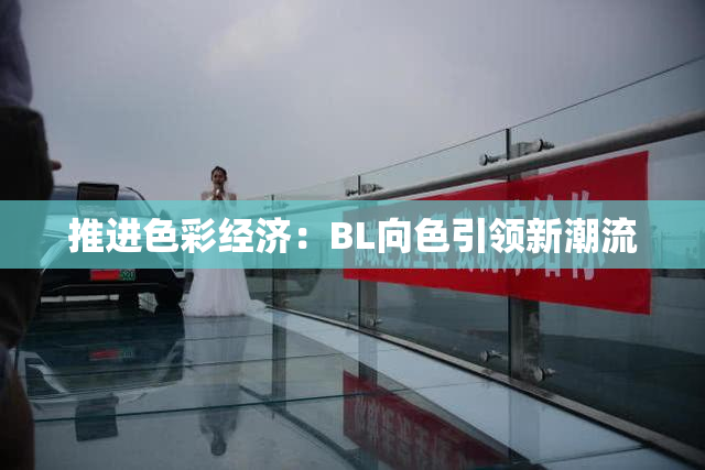 推进色彩经济：BL向色引领新潮流