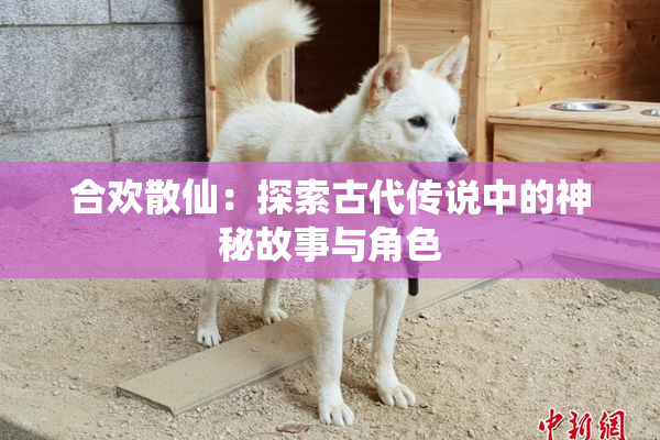 合欢散仙：探索古代传说中的神秘故事与角色
