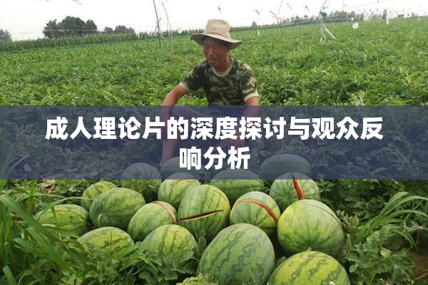 成人理论片的深度探讨与观众反响分析
