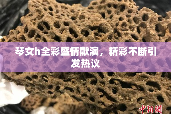 琴女h全彩盛情献演，精彩不断引发热议