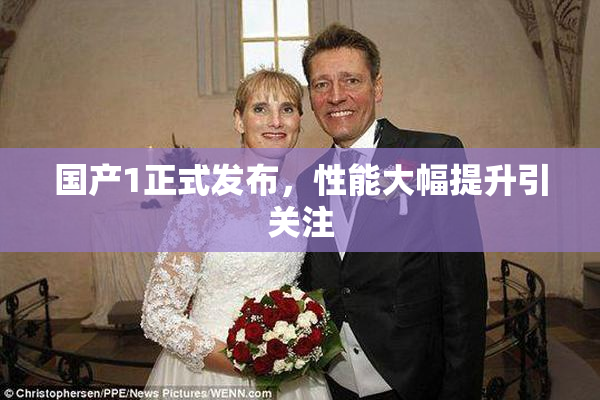 国产1正式发布，性能大幅提升引关注