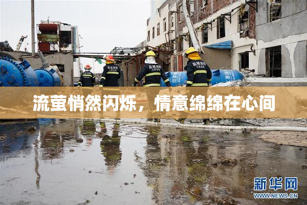 流萤悄然闪烁，情意绵绵在心间