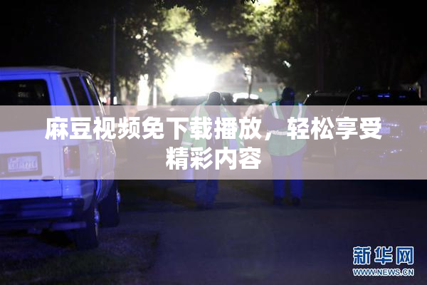 麻豆视频免下载播放，轻松享受精彩内容