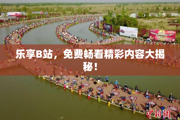 乐享B站，免费畅看精彩内容大揭秘！