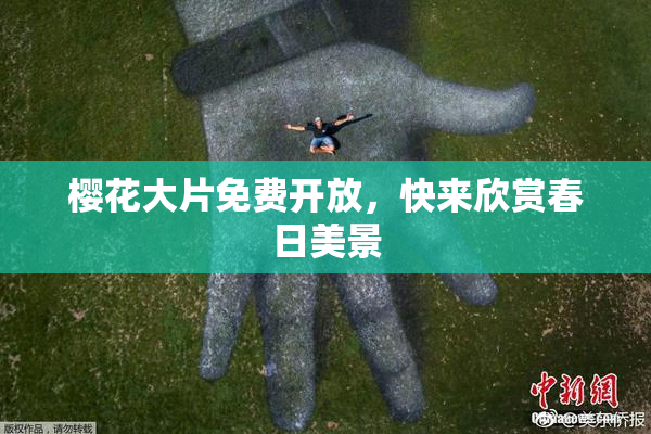 樱花大片免费开放，快来欣赏春日美景
