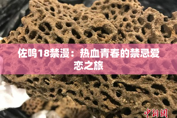 佐鸣18禁漫：热血青春的禁忌爱恋之旅