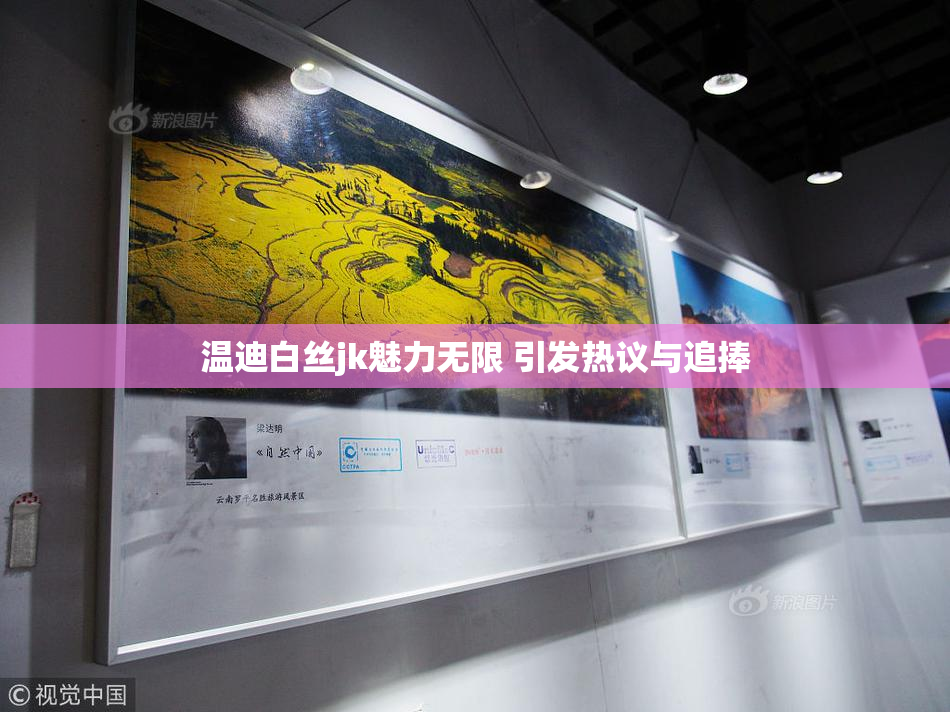温迪白丝jk魅力无限 引发热议与追捧