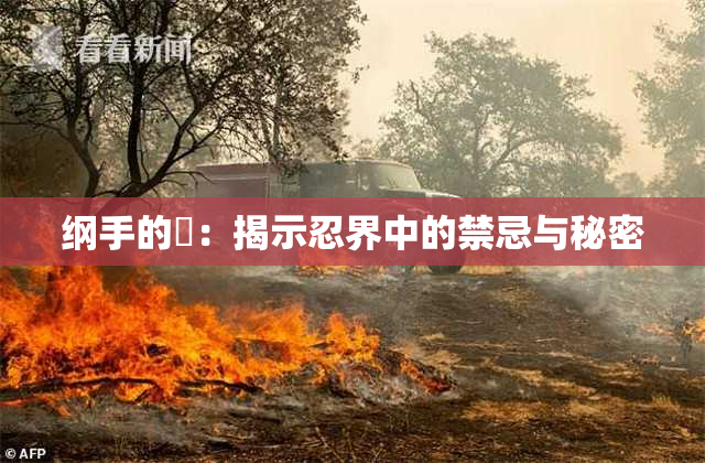 纲手的婬：揭示忍界中的禁忌与秘密