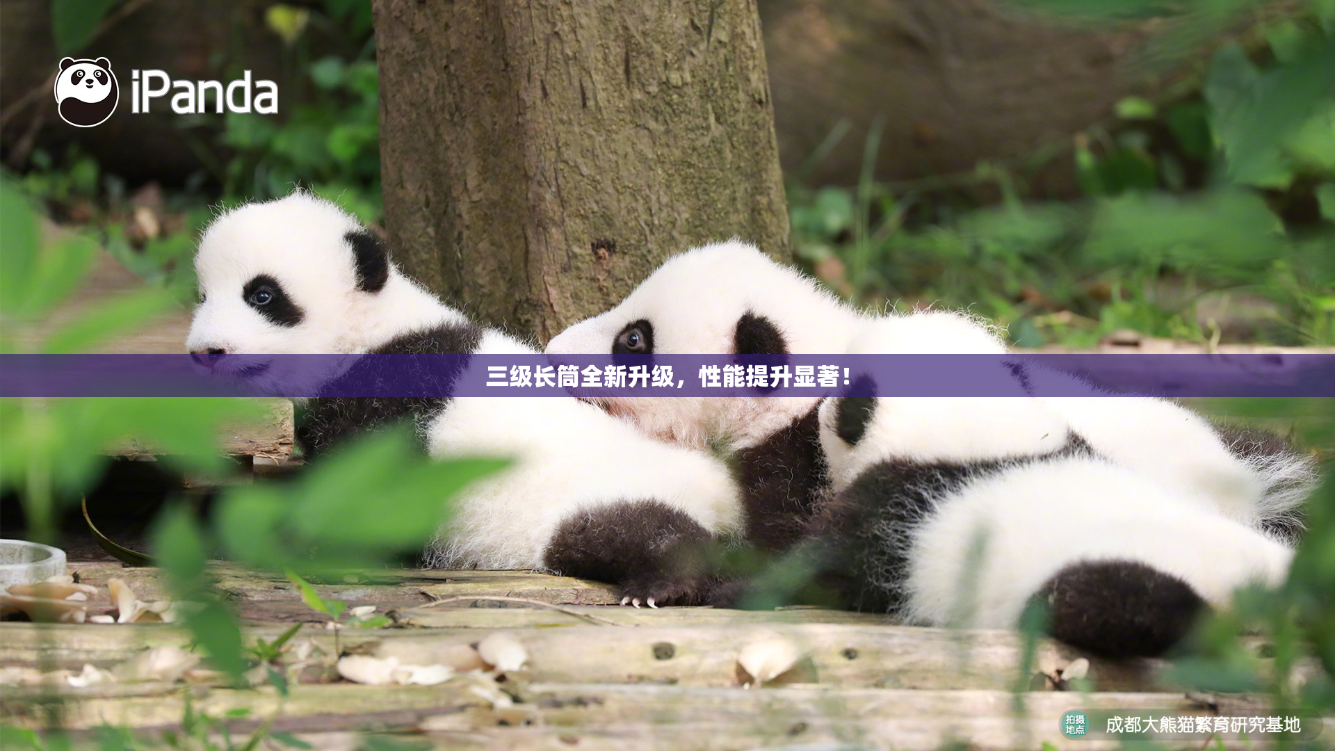 三级长筒全新升级，性能提升显著！