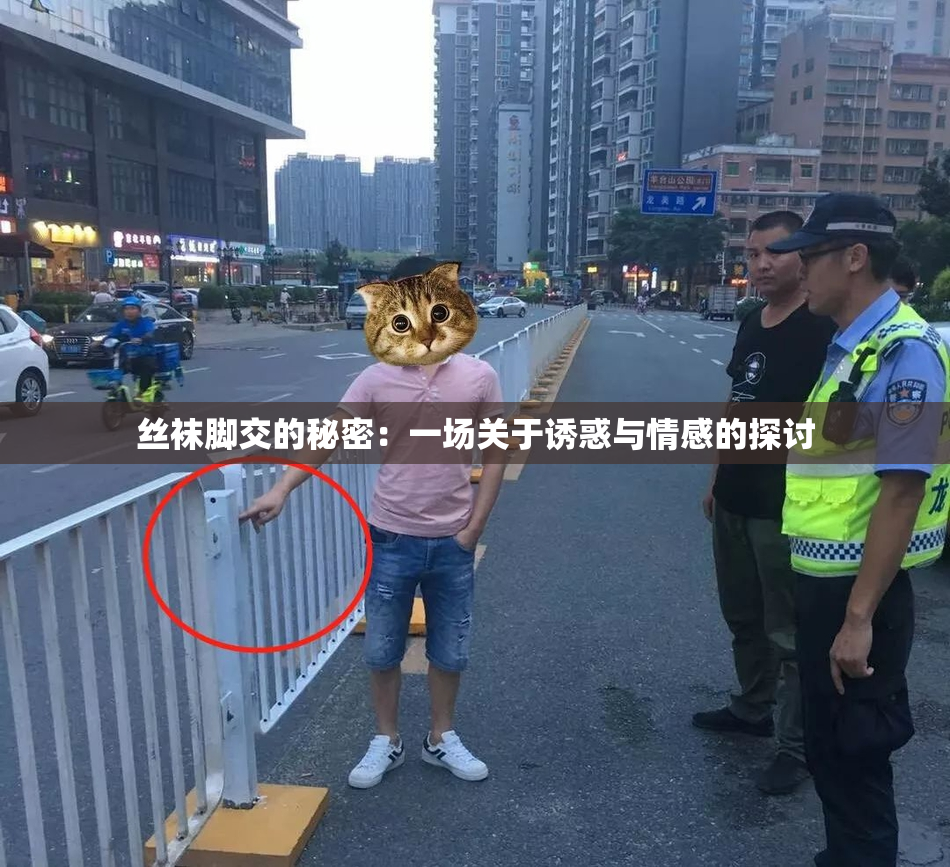 丝袜脚交的秘密：一场关于诱惑与情感的探讨