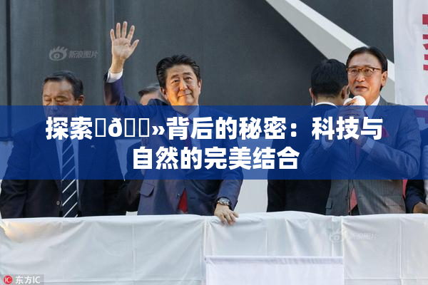 探索‌🐻背后的秘密：科技与自然的完美结合