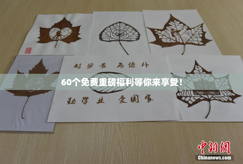 60个免费重磅福利等你来享受！