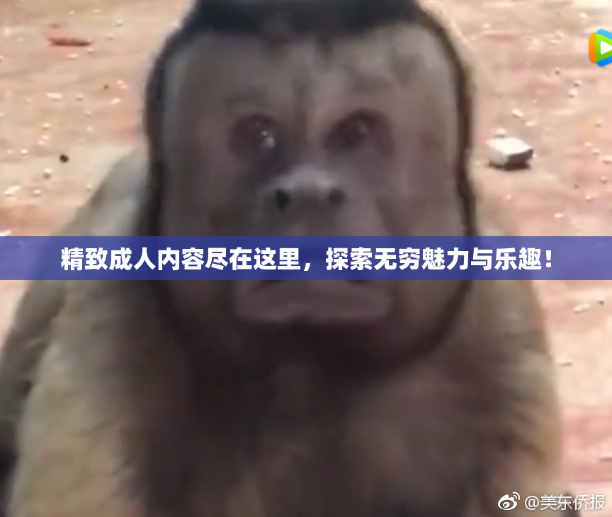 精致成人内容尽在这里，探索无穷魅力与乐趣！