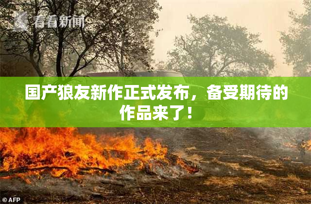 国产狼友新作正式发布，备受期待的作品来了！