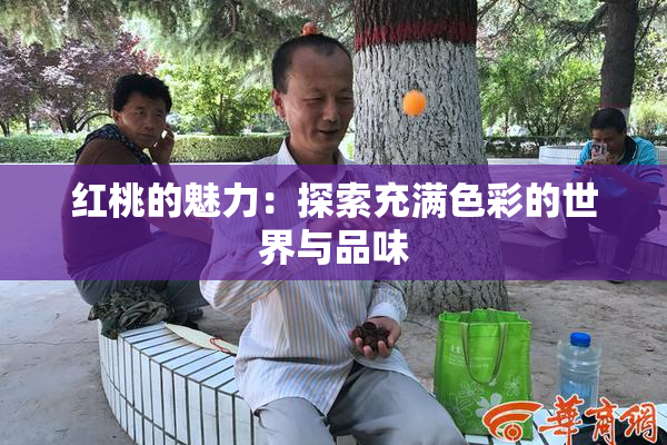 红桃的魅力：探索充满色彩的世界与品味