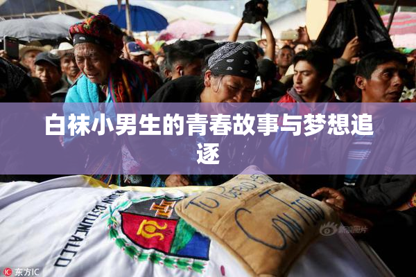 白袜小男生的青春故事与梦想追逐
