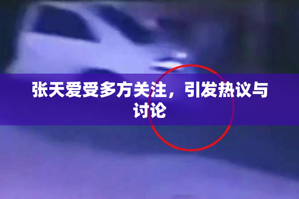 张天爱受多方关注，引发热议与讨论