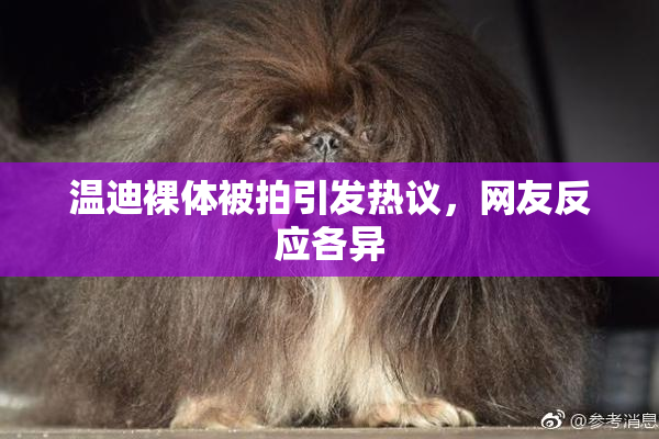温迪裸体被拍引发热议，网友反应各异