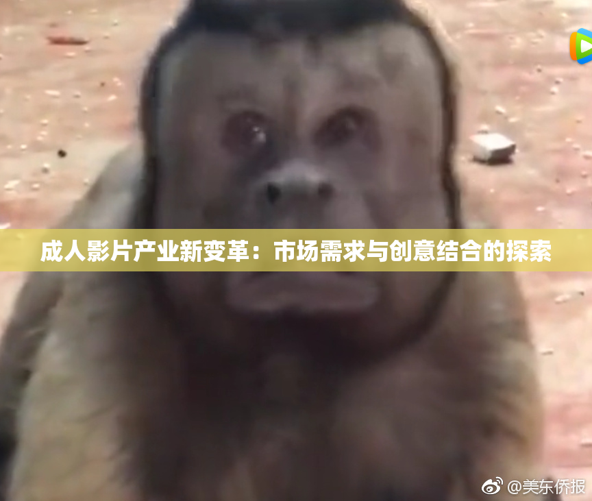 成人影片产业新变革：市场需求与创意结合的探索