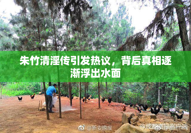 朱竹清淫传引发热议，背后真相逐渐浮出水面