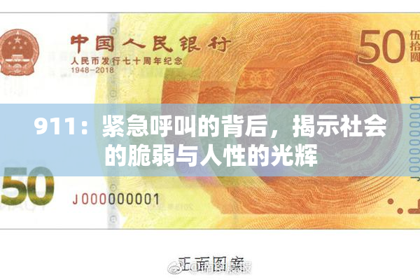 911：紧急呼叫的背后，揭示社会的脆弱与人性的光辉