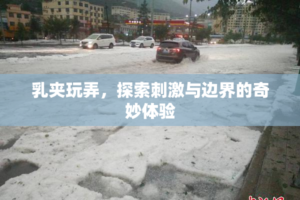 乳夹玩弄，探索刺激与边界的奇妙体验