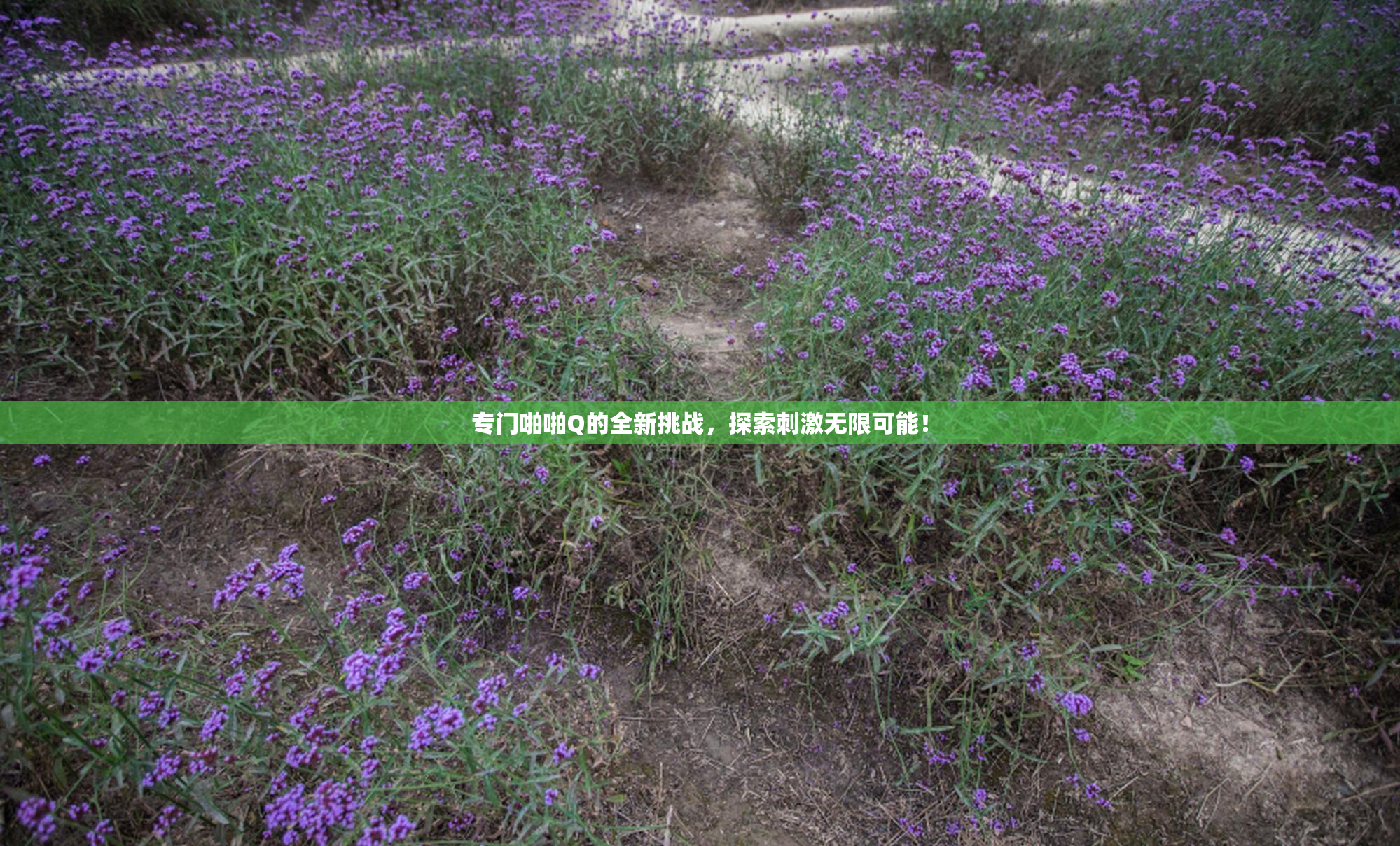 专门啪啪Q的全新挑战，探索刺激无限可能！