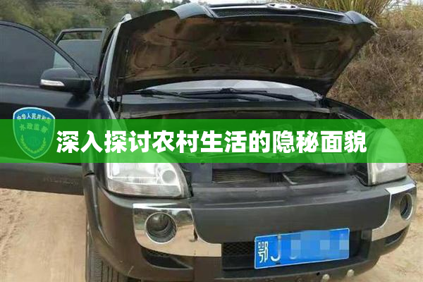 深入探讨农村生活的隐秘面貌