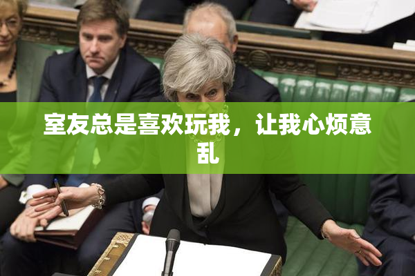 室友总是喜欢玩我，让我心烦意乱